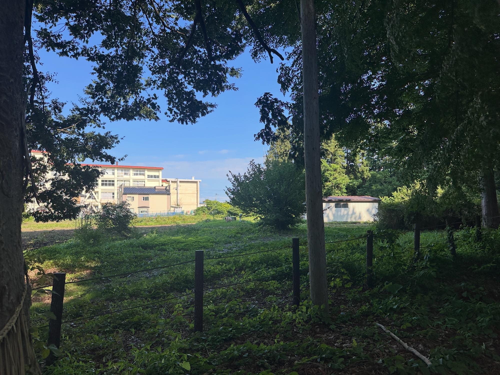 通学路となるなかよし坂、世代を超えて多くの子どもたちが歩んできた道