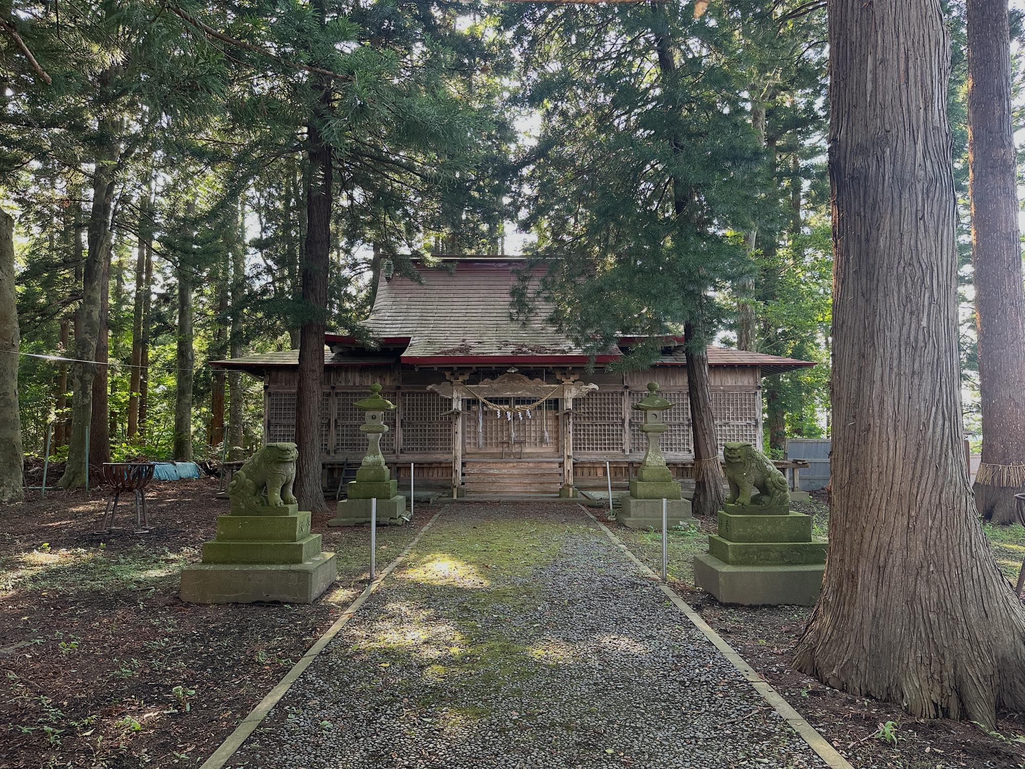 杉の木立ちに囲まれた境内の風景