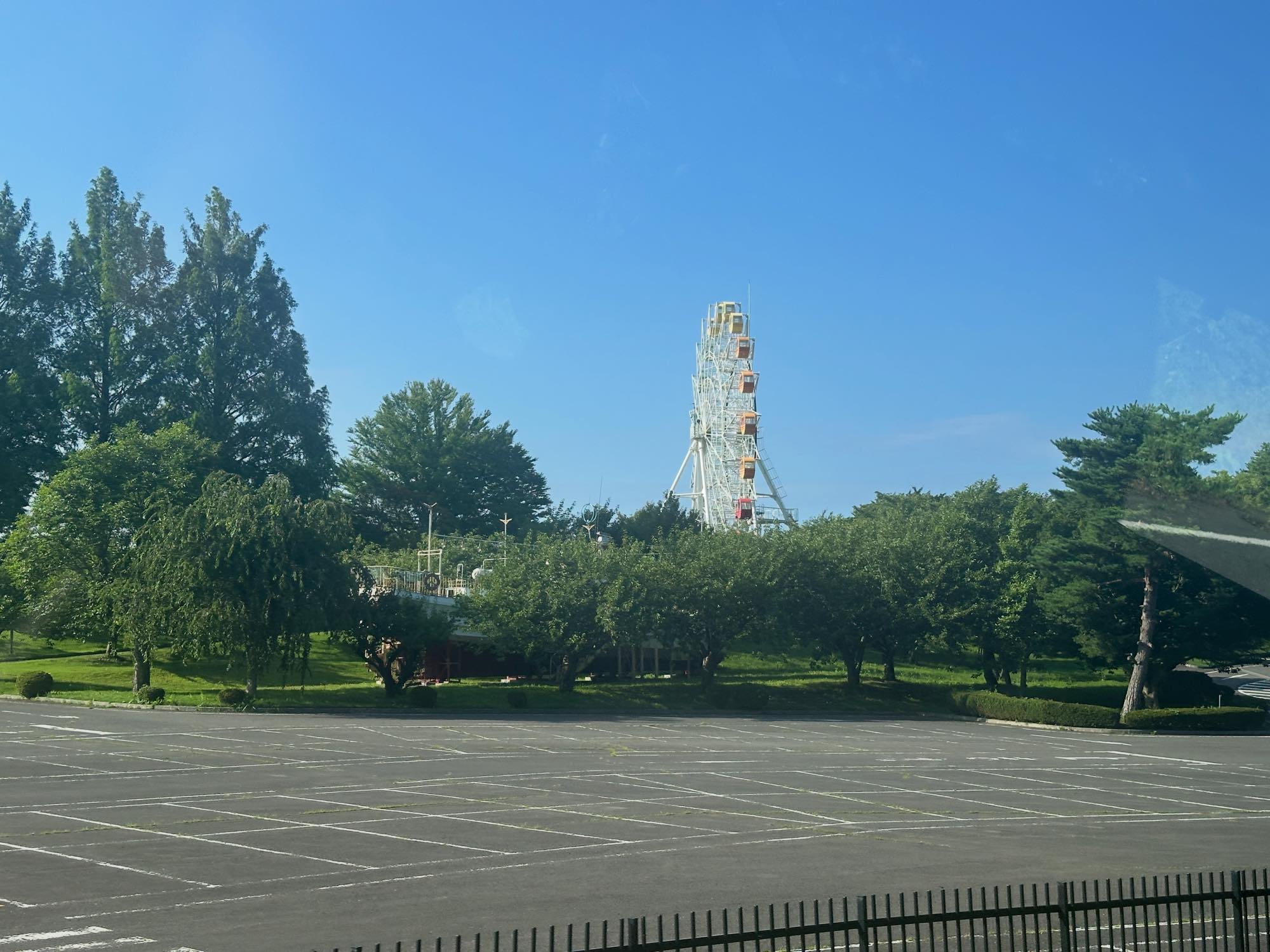 八戸公園内の芝生広場と緑に囲まれた園路の風景