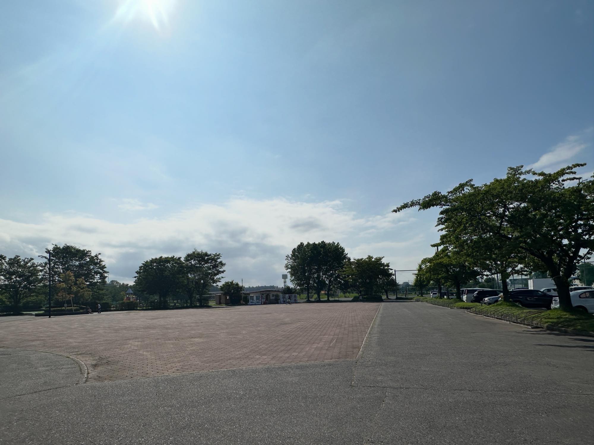 新井田公園の施設全景。豊かな緑に包まれたスポーツ施設で、アクティブな休日を過ごせます